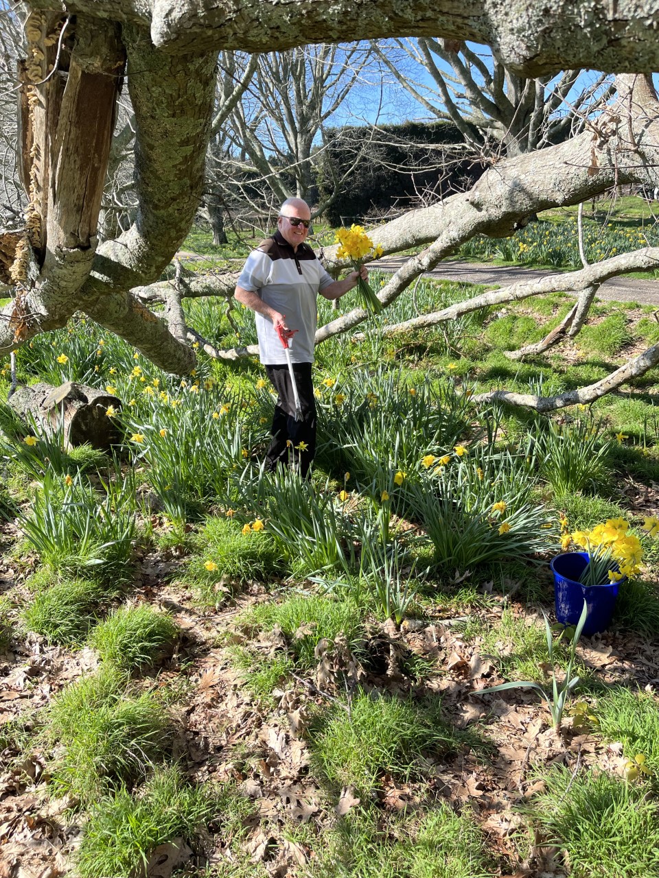 Our bridge people who spent hours collecting daffodils for a good cause